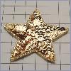Sequin Star